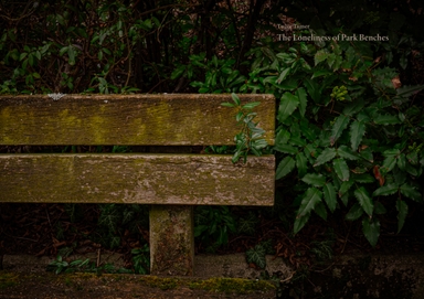 The Loneliness of Park Benches 1