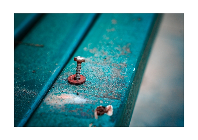 The Loneliness of Park Benches 4