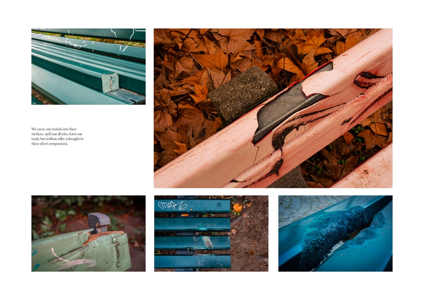 The Loneliness of Park Benches 5