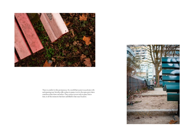 The Loneliness of Park Benches 3